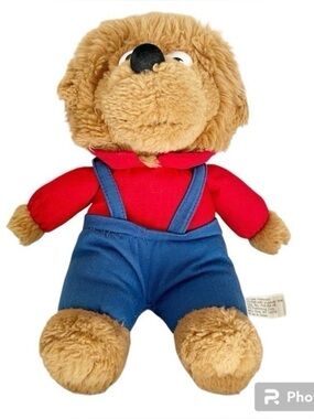 BERENSTAIN BEARS - BROTHER BEAR 9” PLUSH